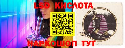 прущие грибы Кингисепп