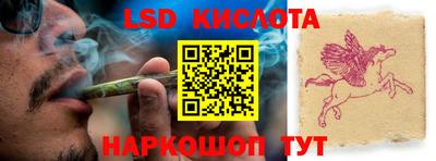 прущие грибы Кингисепп