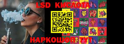 прущие грибы Кингисепп
