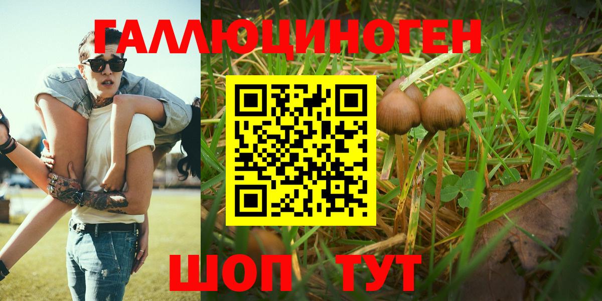 Псилоцибиновые грибы ЛСД  Вход с VPN  Лабинск 